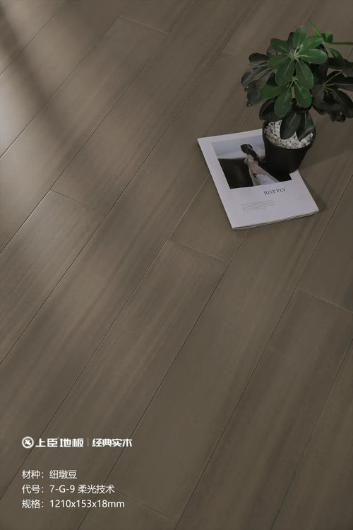 上臣地板榮獲 木業(yè)科技發(fā)明一等獎 ,領(lǐng)航木地板行業(yè)創(chuàng)新之路 地板網(wǎng)