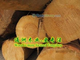 供應通洲木業(yè)鐵杉建筑木材,落葉松方木,鐵杉建筑木方加工通洲木業(yè)_紡織皮革_世界工廠網(wǎng)中國產(chǎn)品信息庫