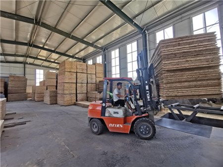 特色產業助力鄉村振興——木業的綠色發展之路