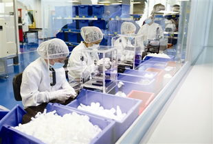 望牛墩每年投千萬(wàn)助企業(yè)倍增，辦公用品行業(yè)迎發(fā)展新機(jī)遇